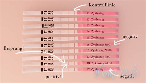Infografik: Was tun bei einem positiven Ovulationstest?