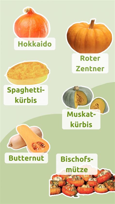 Buntes Arrangement aus verschiedenen Kürbissorten, die für Babybrei geeignet sind, mit Fokus auf Hokkaido.