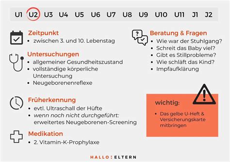 Infografik zu den wichtigsten Untersuchungen des Neugeborenen (U1, U2, Neugeborenen-Screening)