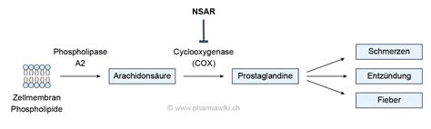 Schema der Wirkweise von NSAR im Körper bei Halsschmerzen