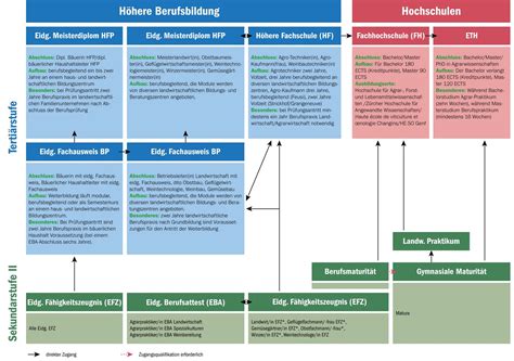 Schema der Weiterbildungswege in der Geburtshilfe und Perinatalmedizin