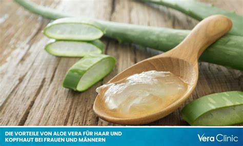 Infografik, die die drei Hauptwirkungen von Aloe Vera auf die Kopfhaut darstellt: Feuchtigkeit, Entzündungshemmung, Nährstoffe.