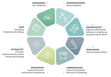 Diagramm, das die INCI-Liste von Kosmetikprodukten zeigt und erklärt, wie der hohe Anteil an Aloe Vera Saft erkennbar ist.