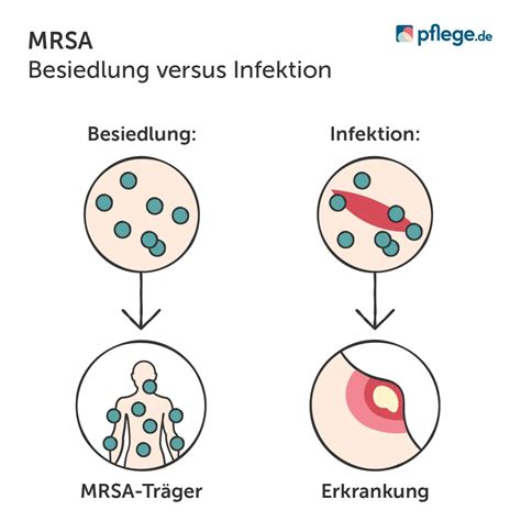Grafik zur Übertragung von MRSA in der Familie, Betonung auf Hygiene