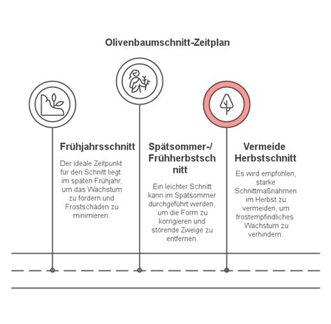 Infografik: Zeitplan für den Kinderwunsch nach dem Pillenabsetzen
