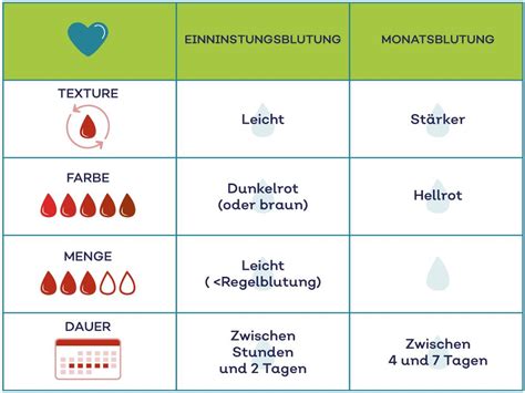 Vergleich von Einnistungsblutung und Menstruationsblutung mit visuellen Hinweisen zu Farbe, Menge und Dauer