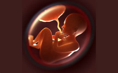 Fruchtblase mit Baby - eine seltene Geburtssituation.