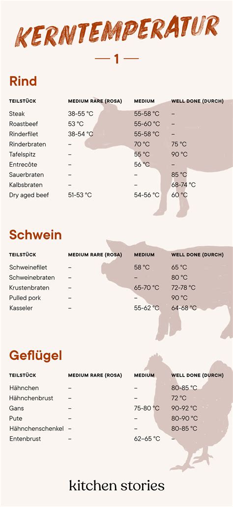 Schema zur sicheren Kerntemperatur von Fleisch in der Schwangerschaft (70°C für mindestens 2 Minuten)