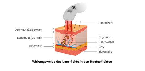 Schema, das die Wirkungsweise der Low Level Laser Therapie erklärt