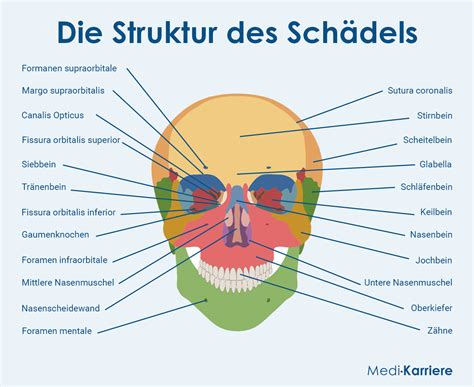 Detailaufnahme der Ohrenkonstruktion am Kopf des Schals