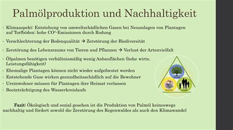 Infografik, die die Auswirkungen der Palmölproduktion auf Regenwälder und die Tierwelt zeigt.