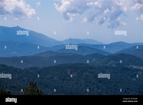 Panorama der korsischen Landschaft mit Macchia und Bergen