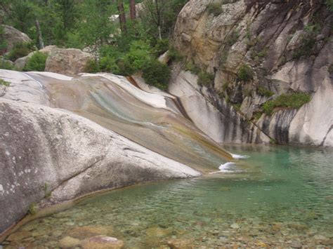 Lariccio-Kiefernwald im Bavella-Massiv