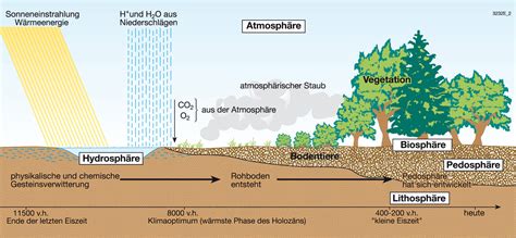Schema zur Darstellung des Porengefüges im Boden mit Grob-, Mittel- und Feinporen sowie der Speicherung von Wasser und Luft.