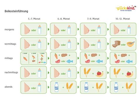 Schema zur schrittweisen Einführung von Beikost