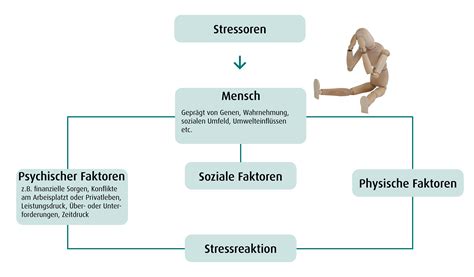 Grafik zur Veranschaulichung des Zeitpunkts, wann der Sitzverkleinerer aus der Babyschale entfernt werden sollte.