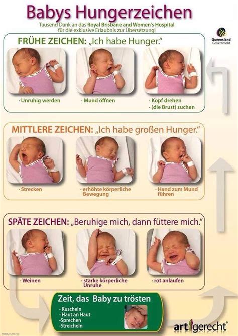 Schema zur Erkennung von Stillzeichen bei Babys