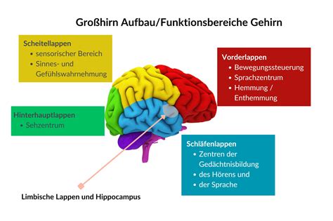 Schema, das die Funktion eines Kinderwagen-Adapters zur Verbindung von Babyschale und Kinderwagengestell illustriert