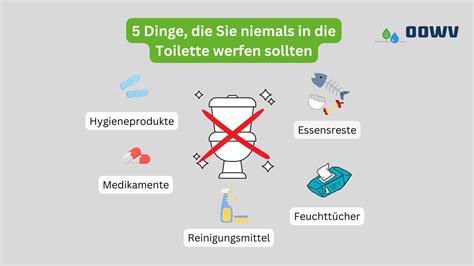 infografik: Was darf nicht in die Toilette?