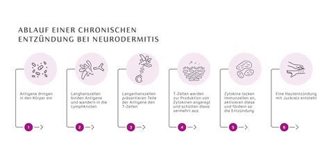 Schema zur richtigen Hautpflege vor und nach dem Babyschwimmen bei Neurodermitis