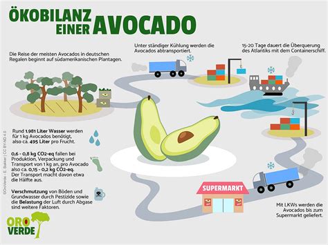 Infografik, die die potenziellen Nachteile von Superfoods wie lange Transportwege und Zuckergehalt veranschaulicht