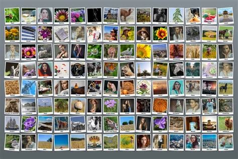 Collage aus verschiedenen pflanzlichen Haarfarbenprodukten