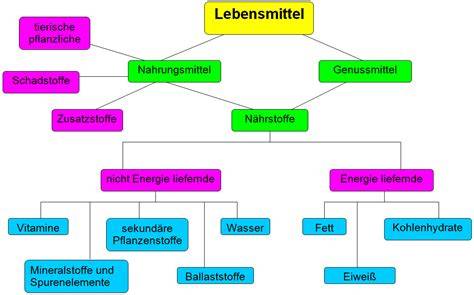 Schema der Zusammensetzung hochverarbeiteter Lebensmittel