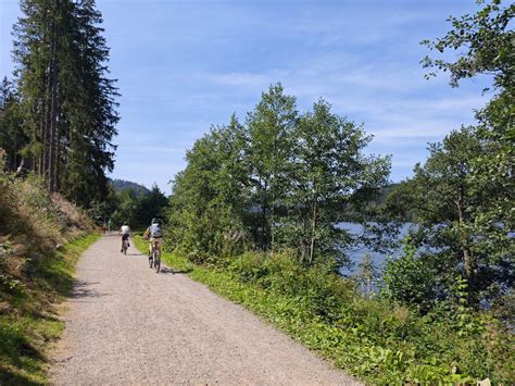 Luftaufnahme des Angelbecksteichs mit barrierefreiem Rundweg und Sitzgelegenheiten