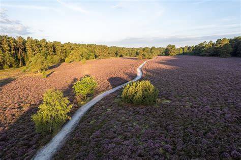 Panorama der Misselhorner Heide mit tiefem Tal