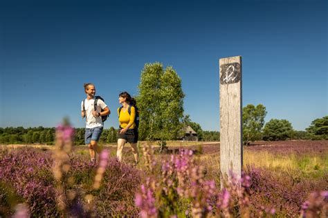 Wanderer auf dem gut ausgeschilderten Heidschnuckenweg durch die Heide