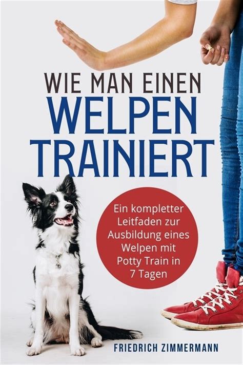 Illustration, die zeigt, wie man das Malheur eines Welpen korrekt beseitigt