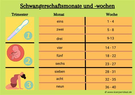 Grafik mit den verschiedenen Trimester- und Semesterzeiten an singapurischen Universitäten