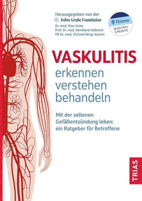 Schema der Vaskulitis durch EHV-1 im Uterus