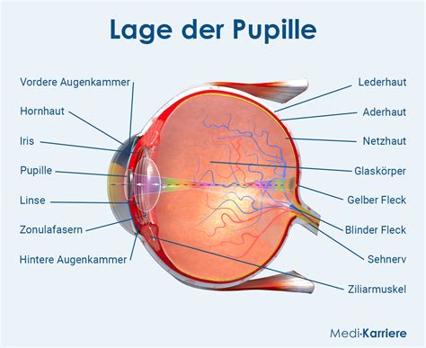 Nahaufnahme eines Kinderauges, das leicht zusammengekniffen ist, um die mögliche Anstrengung darzustellen