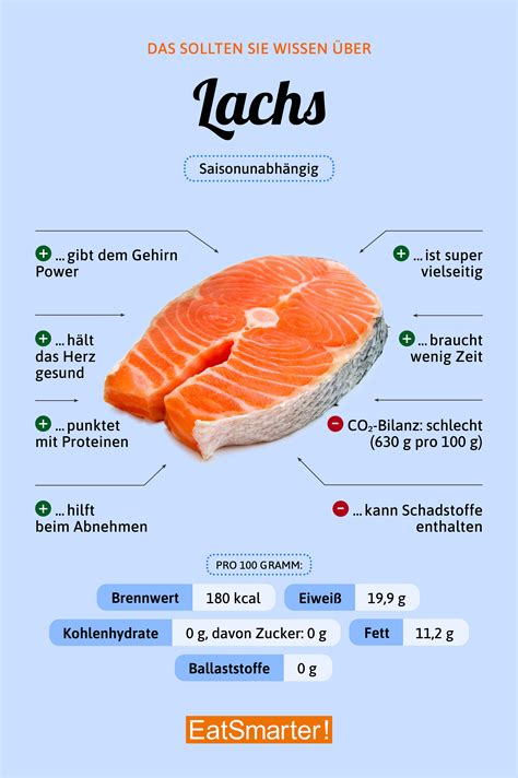 Infografik: Nährwerte von Fisch für Schwangere