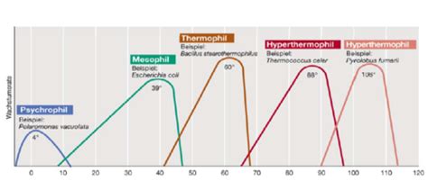 Schema: Temperatur vs. Abtötung von Bakterien in Fisch