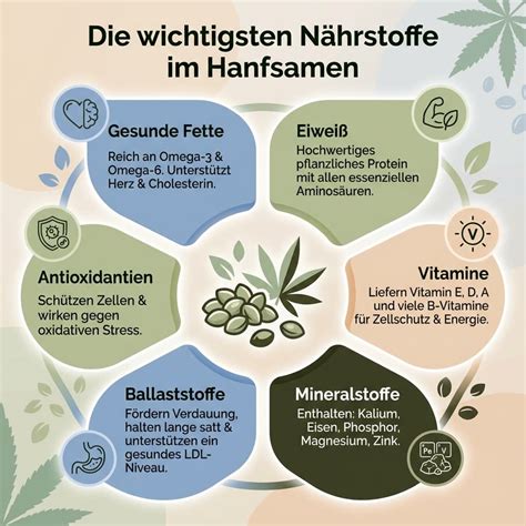 Infografik mit den wichtigsten Nährstoffen für die Stillzeit und deren Quellen