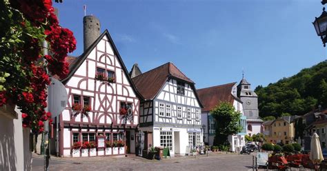 Ansprechendes Foto eines fertig angerichteten Wochenbett-Gerichts, z.B. einer stärkenden Suppe