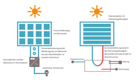 Illustration, die den Unterschied zwischen natürlichem Sonnenlicht und künstlichem Licht für die Vitamin-D-Produktion von Meerschweinchen zeigt