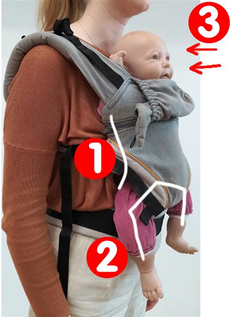 Infografik: Korrekte Haltung des Babys in der Trage, mit Fokus auf Kopfposition und Rückenrundung