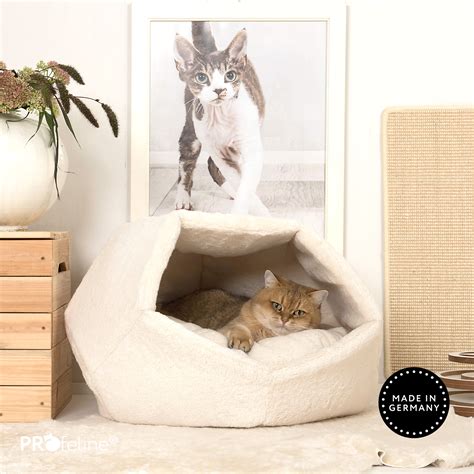 Beispiel für verschiedene Arten von Katzenbetten und Zubehör