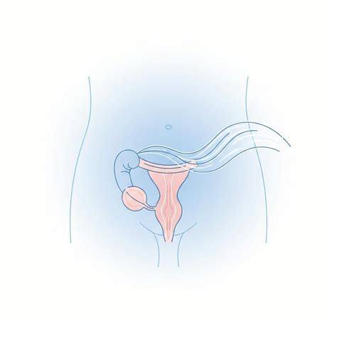 Darstellung einer sanften Reinigung des Penis mit lauwarmem Wasser