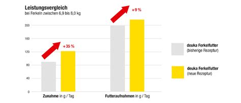 Grafik: Vergleich der Tageszunahmen und Futterverwertung von Jungebern und Kastraten