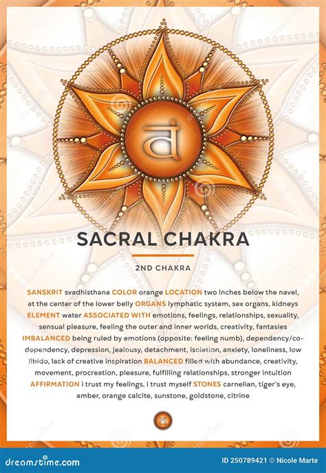 Infografik mit den wichtigsten Merkmalen eines guten Reisebuggys