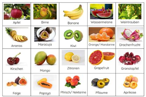 Infografik: Zeitliche Übersicht zur Einführung von Obstsorten für Babys, mit Himbeeren ab dem 7.-10. Monat markiert.