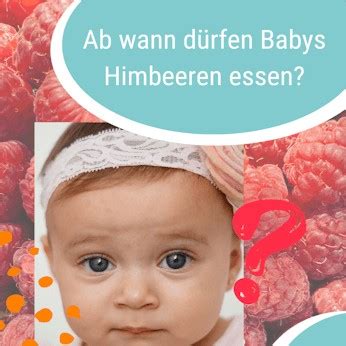 Schema: Darstellung verschiedener Zubereitungsarten von Himbeeren für Babys (püriert, zerdrückt, ganz).