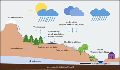 Infografik: Faktoren, die die Entstehung von Gebärmutterpolypen begünstigen