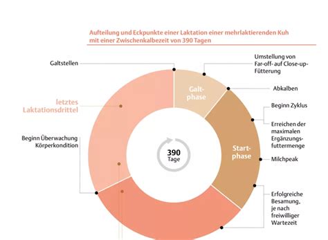 Infografik mit Studienergebnissen zur erotischen Laktation