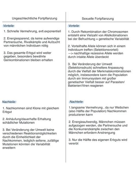 Vergleich von sexueller und asexueller Pflanzenfortpflanzung