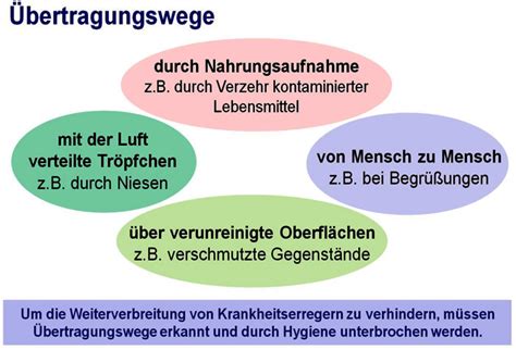 Schema der Übertragungswege von Listeriose auf Neugeborene